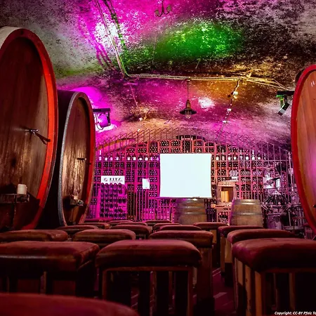 Vakantiehuis Pfalzliebe *