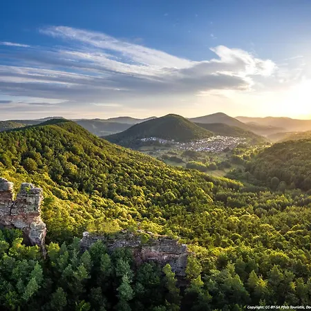 Pfalzliebe * Rinnthal