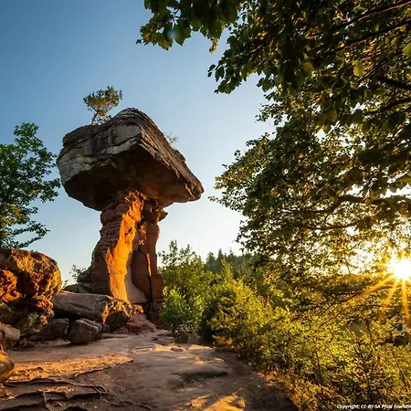 Prázdninový dům Pfalzliebe