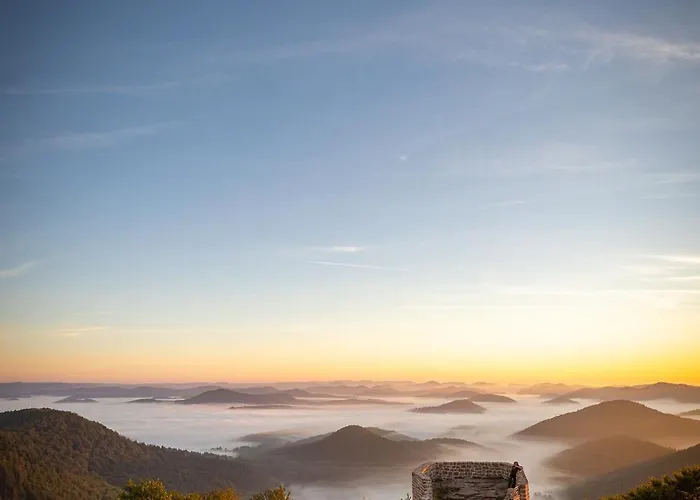 Vakantiehuis Pfalzliebe *