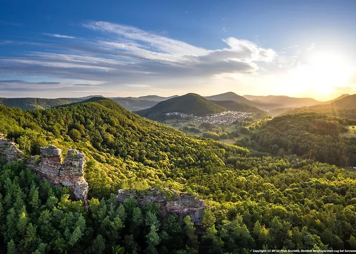Pfalzliebe * Rinnthal