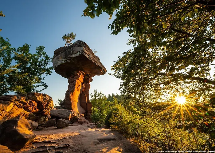 Vakantiehuis Pfalzliebe